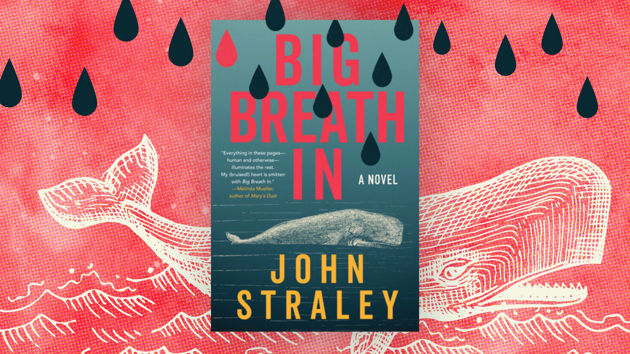 Retired Marine Biologist-Turned-Sleuth Races Against Time to Stop Trafficking Ring